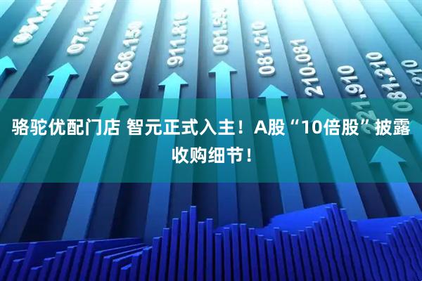骆驼优配门店 智元正式入主！A股“10倍股”披露收购细节！