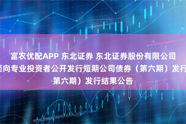 富农优配APP 东北证券 东北证券股份有限公司2025年面向专业投资者公开发行短期公司债券（第六期）发行结果公告
