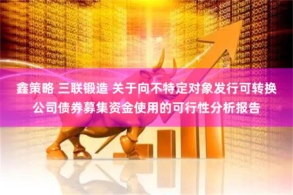 鑫策略 三联锻造 关于向不特定对象发行可转换公司债券募集资金使用的可行性分析报告