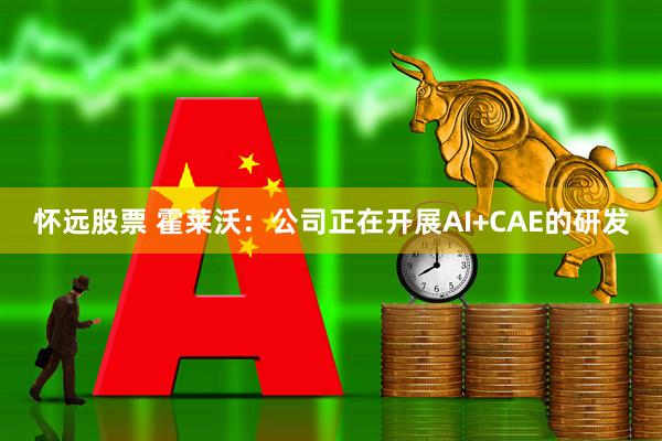 怀远股票 霍莱沃：公司正在开展AI+CAE的研发